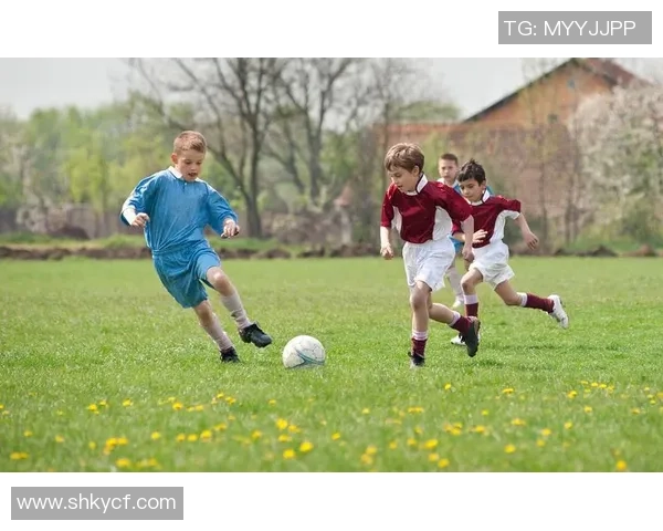 足球明星家庭男孩比例高揭秘背后的原因与影响分析